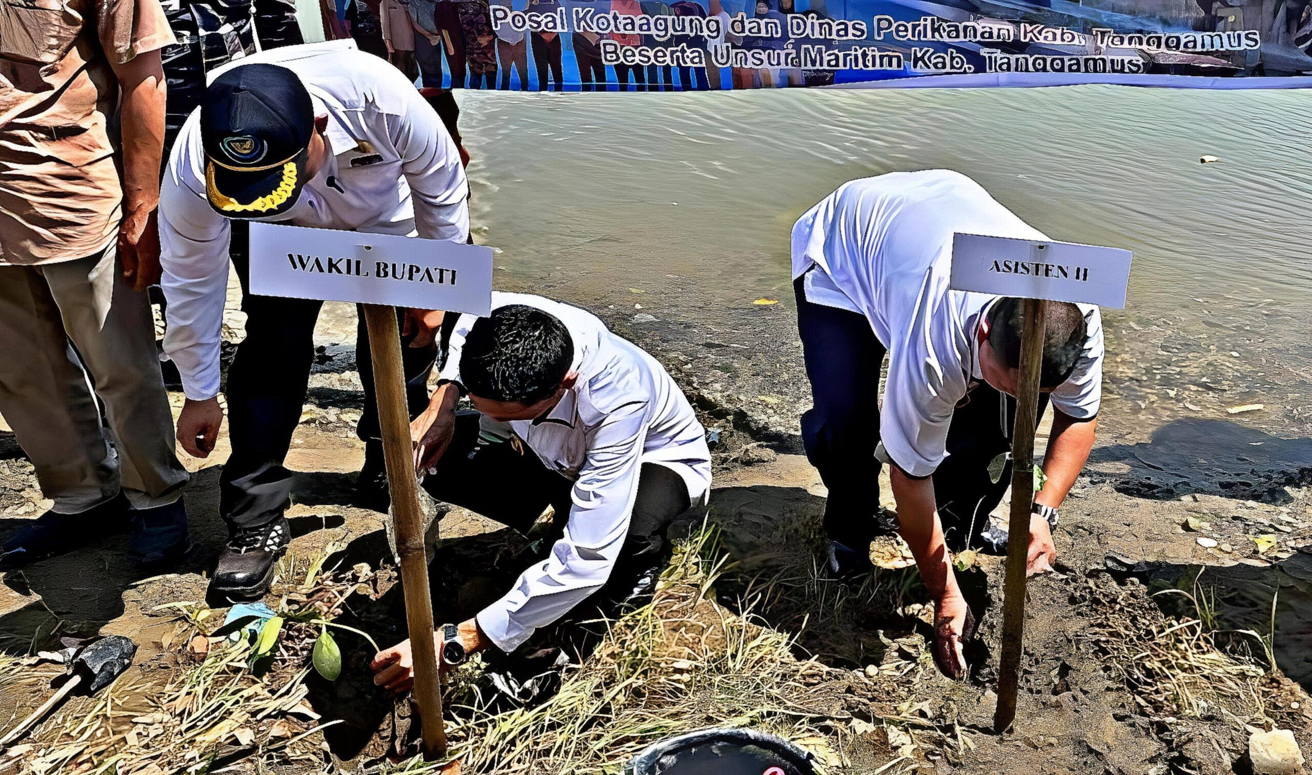 Dinas Perikanan Pimpin Aksi Tanam 500 Mangrove, Serukan Kolaborasi Warga Jaga Masa Depan Lingkungan 1 Dinas Perikanan Pimpin Aksi Tanam 500 Mangrove, Serukan Kolaborasi Warga Jaga Masa Depan Lingkungan