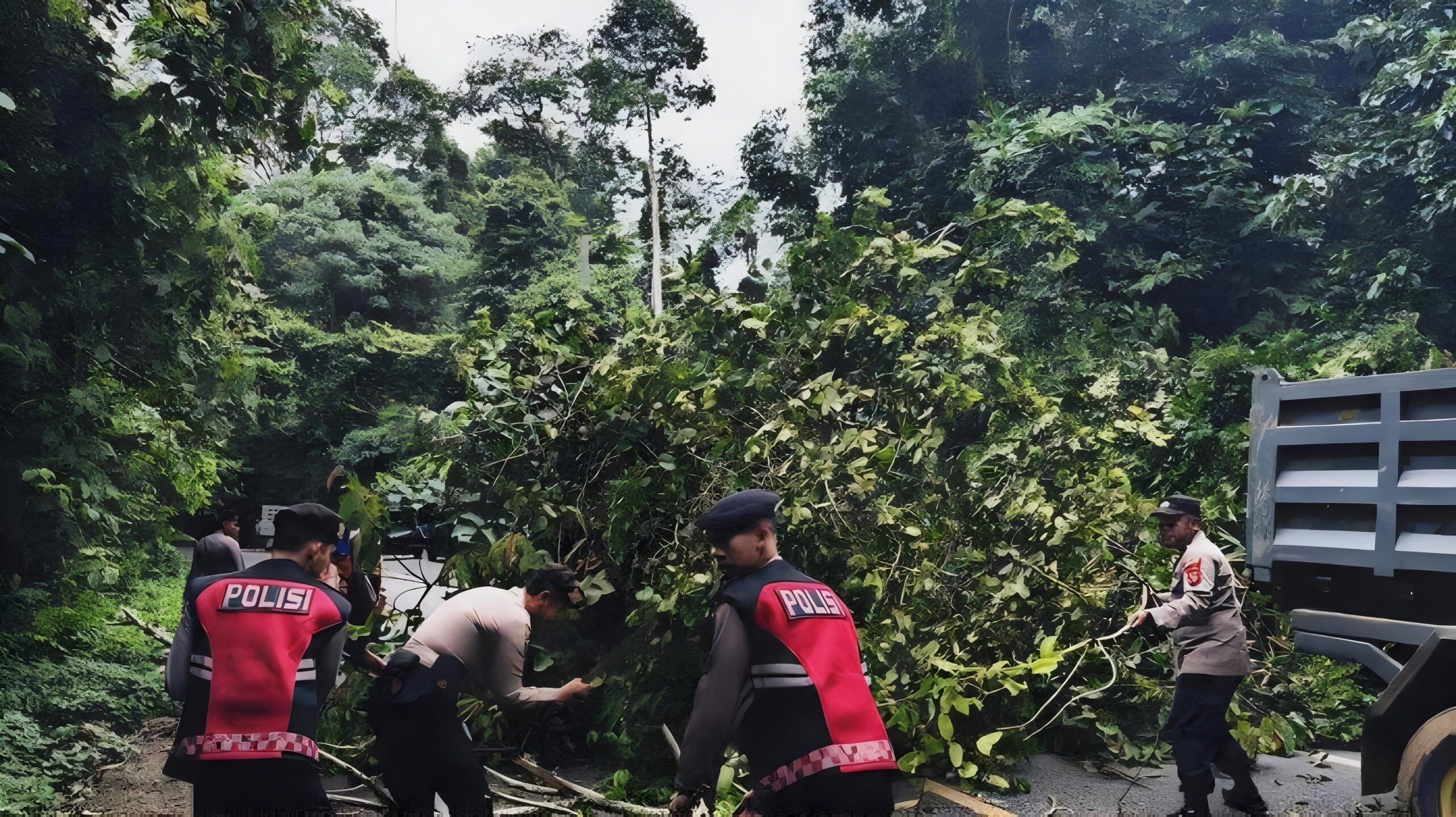 Curah Hujan Meningkat, Masyarakat Diimbau Berhati-Hati Saat Melintas di Jalinbar TNBBS