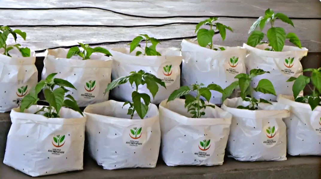 Lewat HATINYA PKK, Purnama Wulan Sari Dorong Kemandirian Pangan dan Ekonomi Keluarga dari Pekarangan Rumah