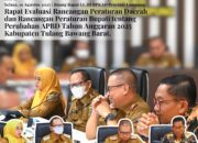 Pemprov Lampung Panggil Tim Anggaran Tubaba, Kaji Ulang Arah Pembangunan di Perubahan APBD 2025