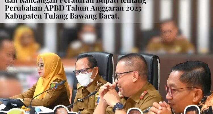 Pemprov Lampung Panggil Tim Anggaran Tubaba, Kaji Ulang Arah Pembangunan di Perubahan APBD 2025