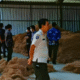 Bangunan Ilegal PT Woongsol Membengkak Jadi 7.500 M², Pemkab Lamsel Beri Ultimatum 2 Minggu