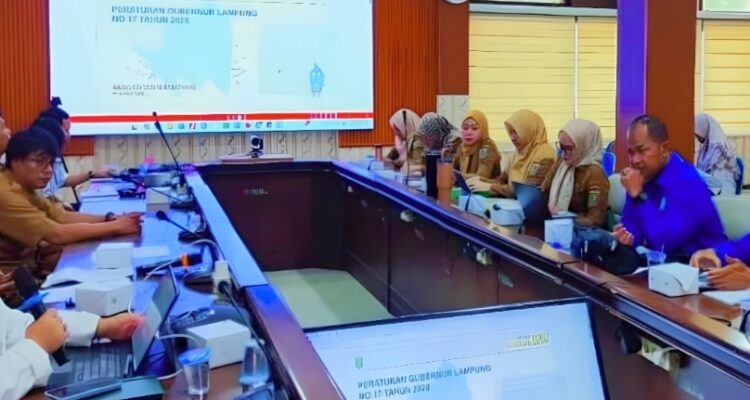 Demi Keakuratan Data Sumber Daya Air, Dinas PSDA Lampung Dukung Optimalisasi Sistem SIH3