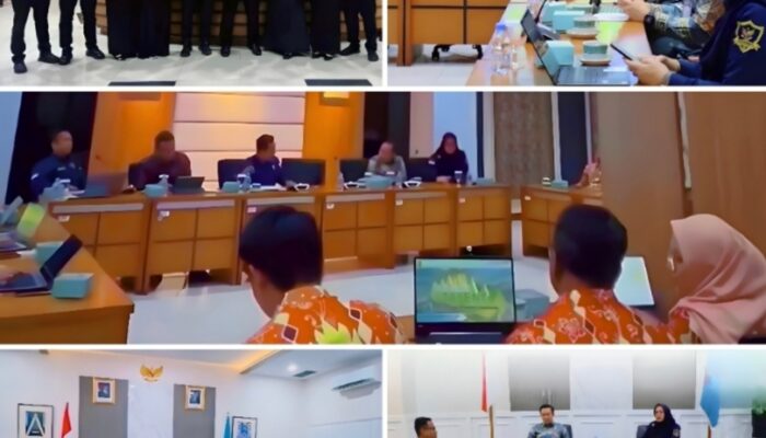 Raih Apresiasi BKN, Lampung Gencarkan Manajemen Talenta ASN Lewat Aplikasi ‘BerTAPIS’