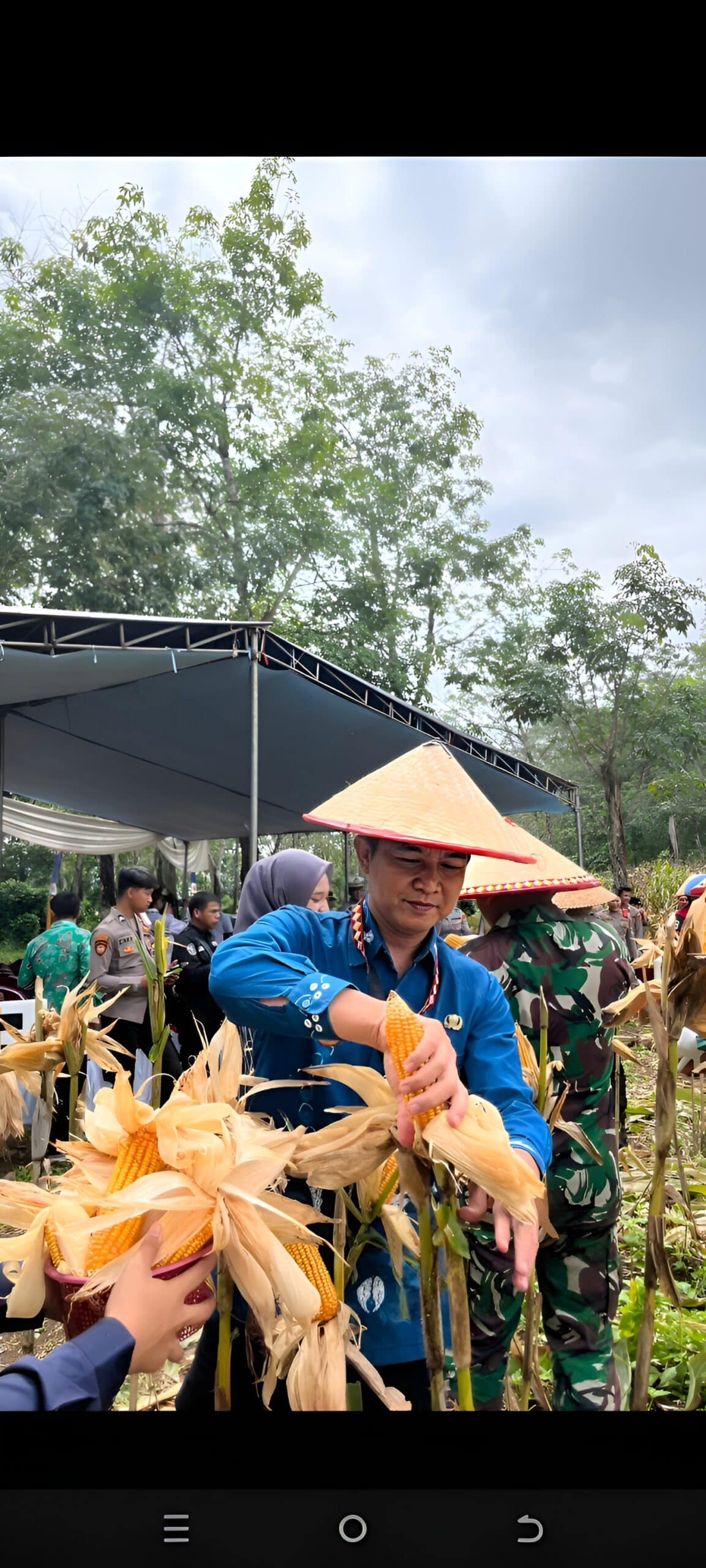 Perkuat Swasembada Pangan 2026, Kadisbunnak Tanggamus Henri Fatra Perkokoh Sinergi Lintas Sektor di Panen Raya Jagung 1 Perkuat Swasembada Pangan 2026, Kadisbunnak Tanggamus Henri Fatra Perkokoh Sinergi Lintas Sektor di Panen Raya Jagung