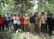 Buka Peluang Investasi Hijau dengan Amazon, Pemprov Lampung Dorong Perdagangan Karbon Berkelanjutan